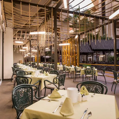 比亚特丽斯海滩spa酒店 酒店 卡门港